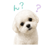 842399006