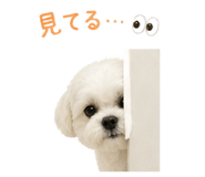 842399008