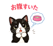 842399020