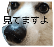 842399223