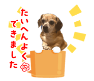 842399289