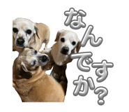 842399290