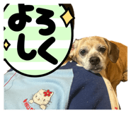 842399291