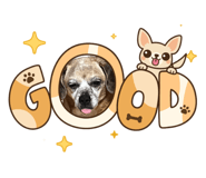 842399293