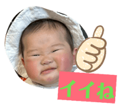 842399531