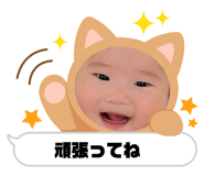 842399541