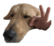 842399602