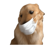 842399612