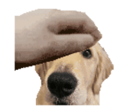 842399618