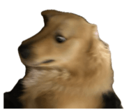 842399636