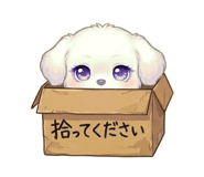 842399995