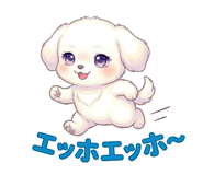 842399997