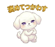 842399998