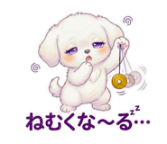 842400006