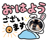 842400065