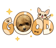 842400127