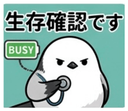 842400278