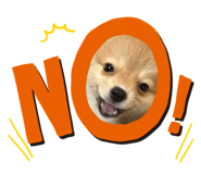 842400299