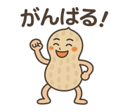842400313