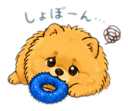 842400533