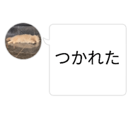 842400691