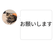 842400692
