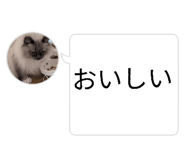 842400696