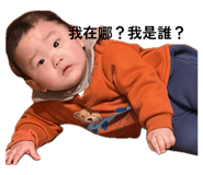 842400776