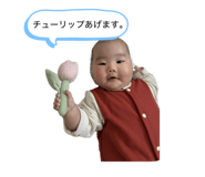 842401062