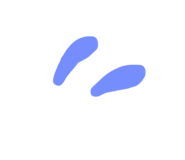 842401227