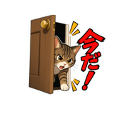 842401550