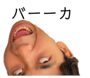 842402137