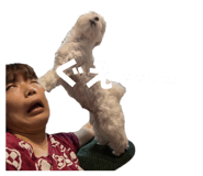 842402425