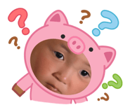 842402481