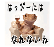 842402522