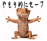 842402526