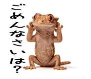 842402529