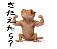 842402530