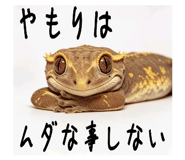 842402532