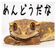 842402533