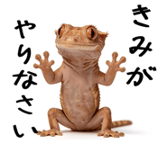842402534