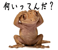 842402535