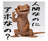 842402538