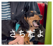 842402767