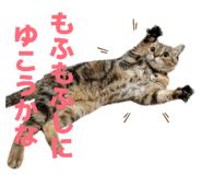 842402789