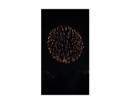 842402804