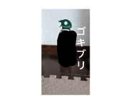842402808