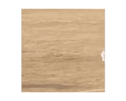 842402991