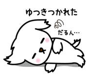 842403214