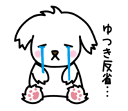 842403225